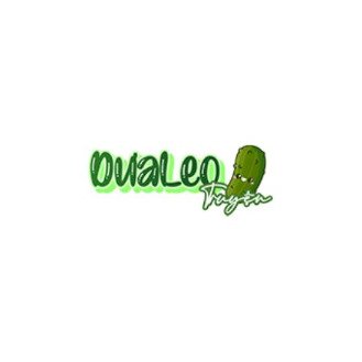 Exploring The World Of Dualeotruyen: A Comprehensive Guide