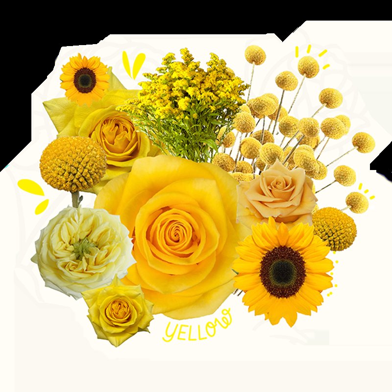 Celebrate Yellow Flower Day: A Blooming Delight