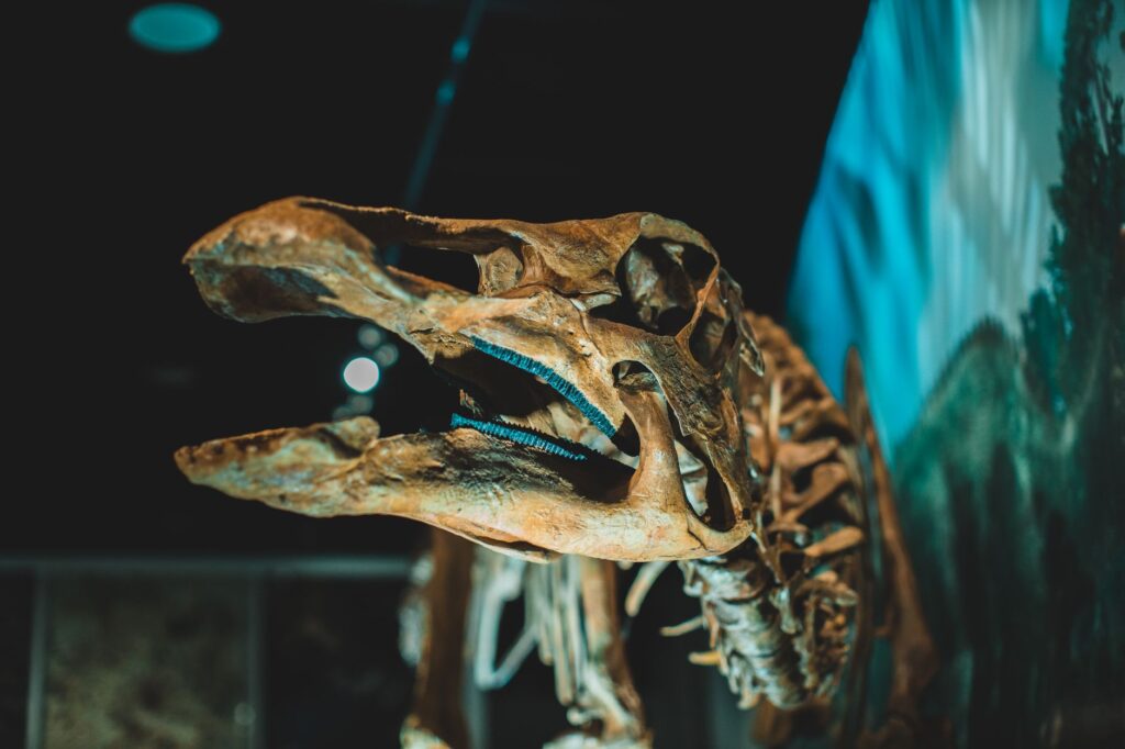 Dinosaur fossil discovery: Exciting find in northern China!