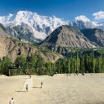 Pakistan cricket change