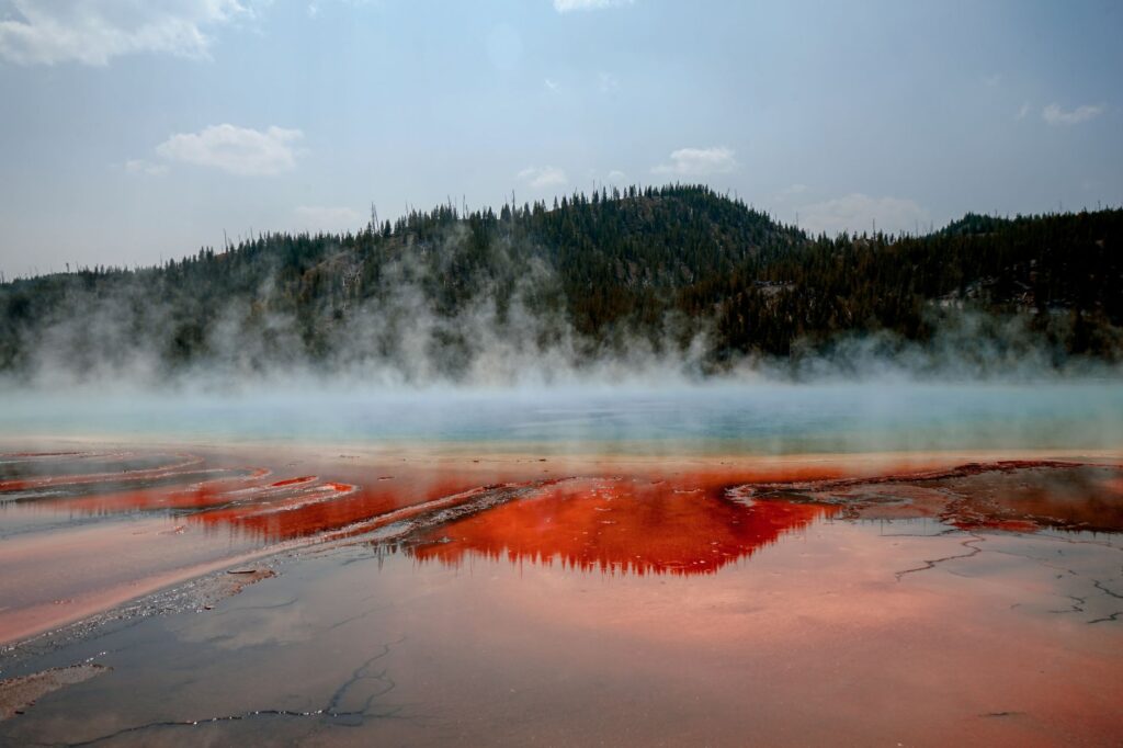 Yellowstone lake sediments